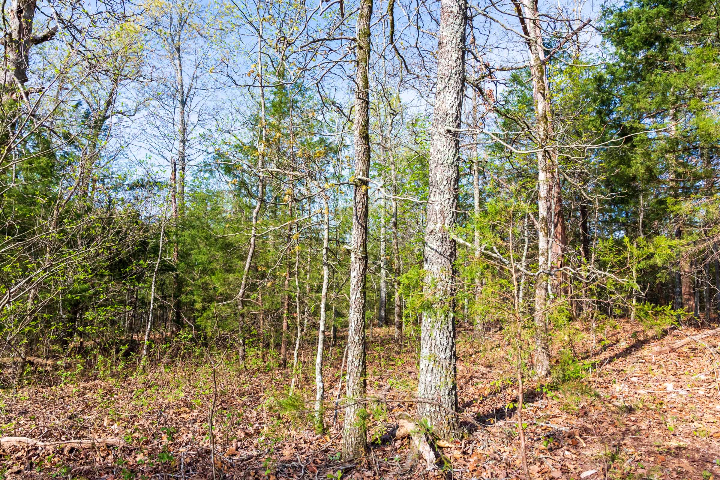Tract 15 at Autumnwood in Fulton County, Arkansas