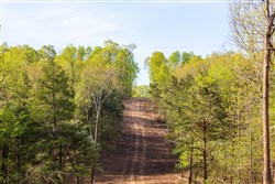 property photo for Autumnwood Tract 15, 5.51 acres for sale in Fulton County, Arkansas