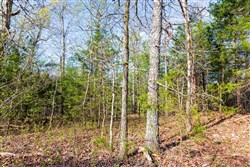 property photo for Autumnwood Tract 15, 5.51 acres for sale in Fulton County, Arkansas