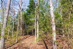 property photo for Autumnwood Tract 15, 5.51 acres for sale in Fulton County, Arkansas