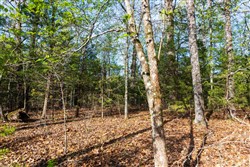property photo for Autumnwood Tract 15, 5.51 acres for sale in Fulton County, Arkansas