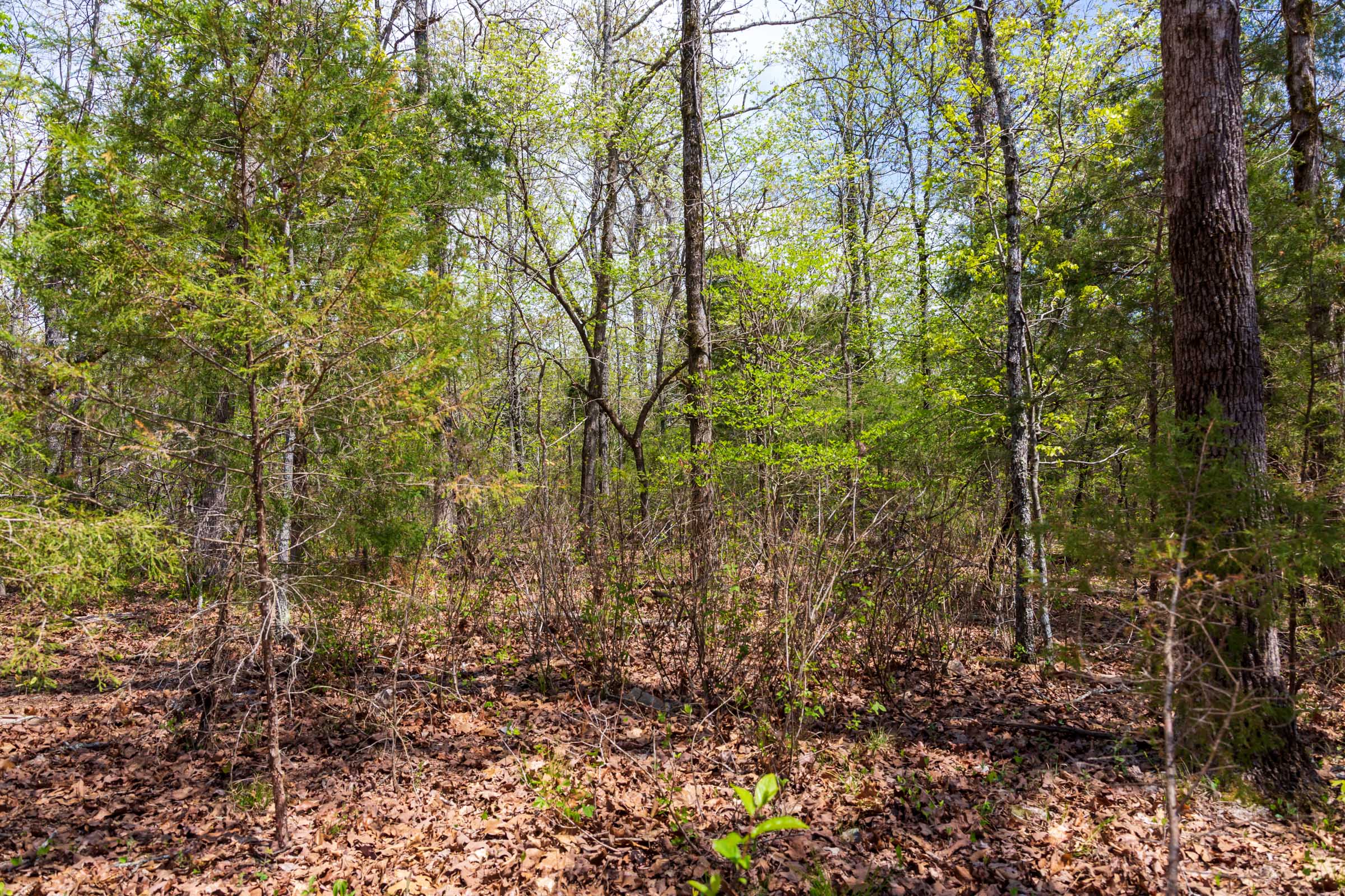 Tract 16 at Autumnwood in Fulton County, Arkansas