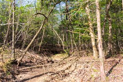 Autumnwood Tract 17