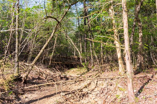 Autumnwood Tract 17