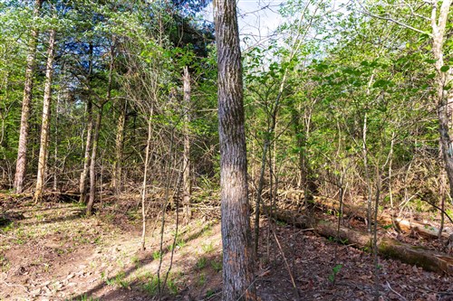 Autumnwood Tract 17