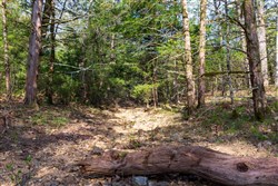 Autumnwood Tract 17