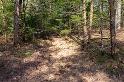 Autumnwood Tract 17