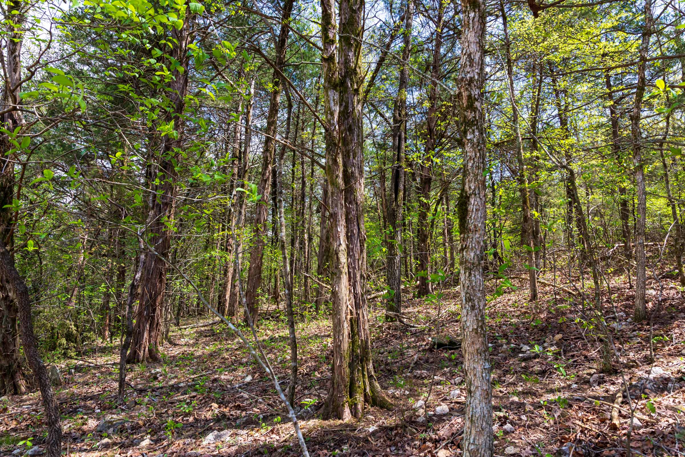 Tract 18 at Autumnwood in Fulton County, Arkansas