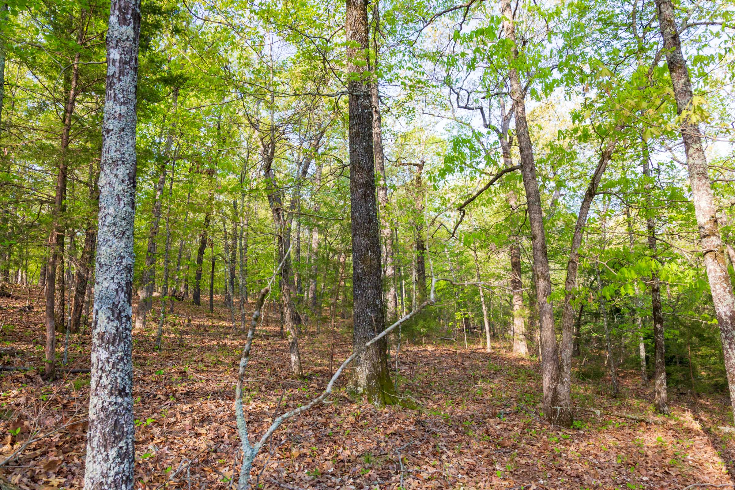 Tract 19 at Autumnwood in Fulton County, Arkansas