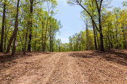 Autumnwood Tract 20