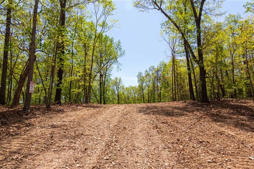 Autumnwood Tract 20