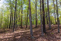 Autumnwood Tract 20