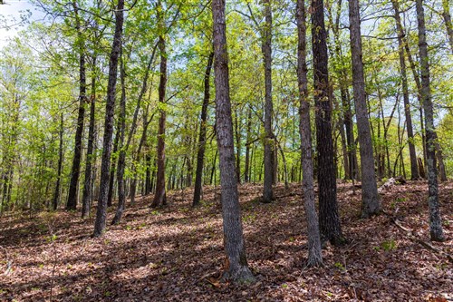 Autumnwood Tract 20
