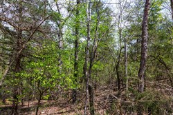 Autumnwood Tract 20
