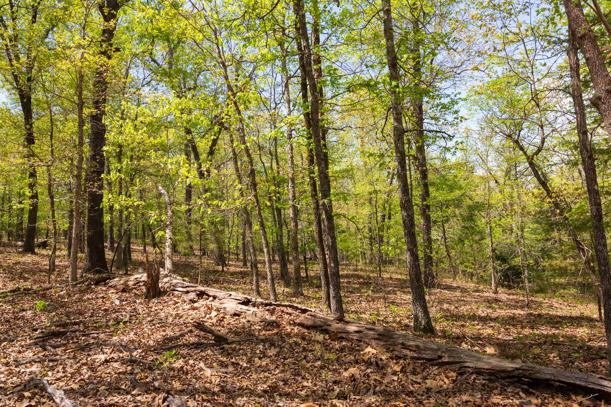 Tract 21 at Autumnwood in Fulton County, Arkansas