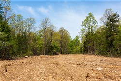 Autumnwood Tract 3