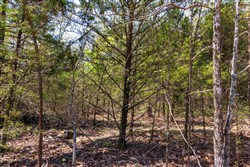 Autumnwood Tract 3