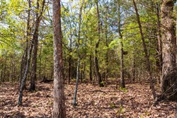 Autumnwood Tract 3