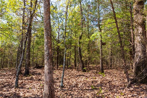 Autumnwood Tract 3