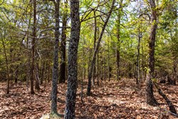 Autumnwood Tract 3