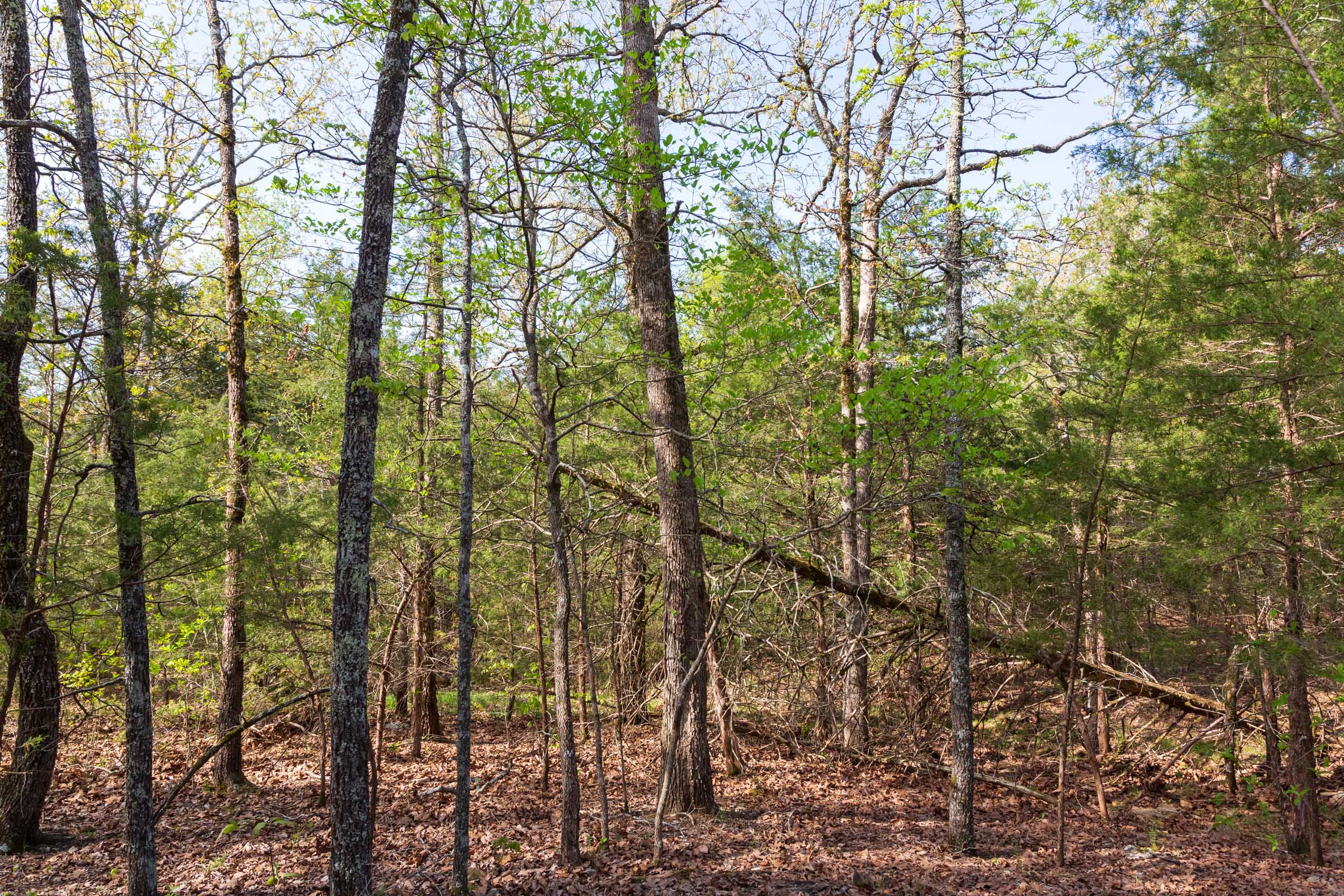 Tract 5 at Autumnwood in Fulton County, Arkansas