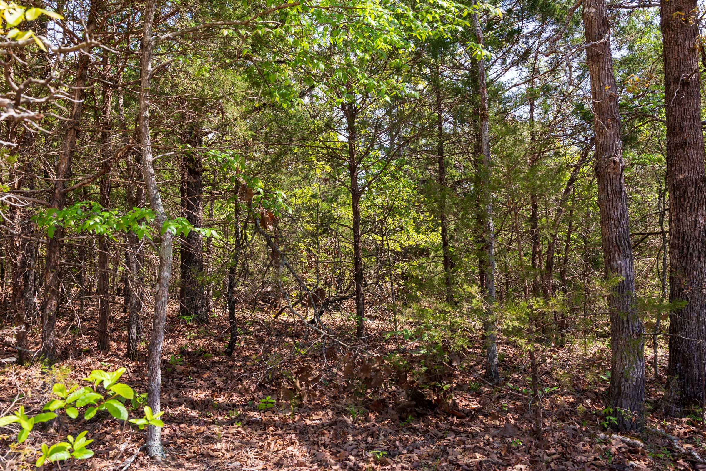 Tract 7 at Autumnwood in Fulton County, Arkansas