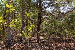 property photo for Autumnwood Tract 7, 7.46 acres for sale in Fulton County, Arkansas