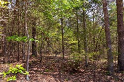 property photo for Autumnwood Tract 7, 7.46 acres for sale in Fulton County, Arkansas