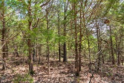 property photo for Autumnwood Tract 7, 7.46 acres for sale in Fulton County, Arkansas