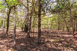 property photo for Autumnwood Tract 7, 7.46 acres for sale in Fulton County, Arkansas