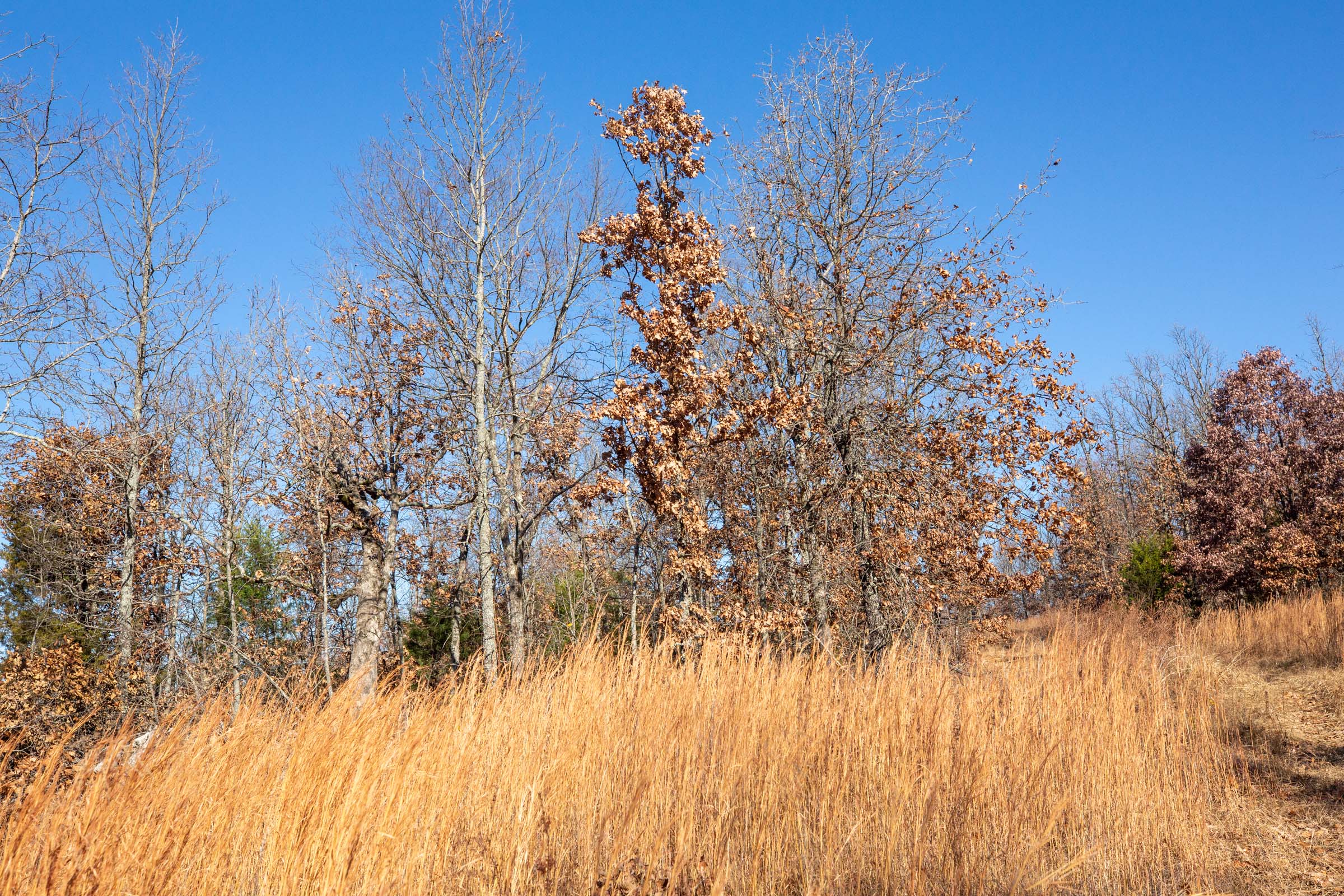 Tract 1 at Dutchmanhollow in Fulton County, Arkansas