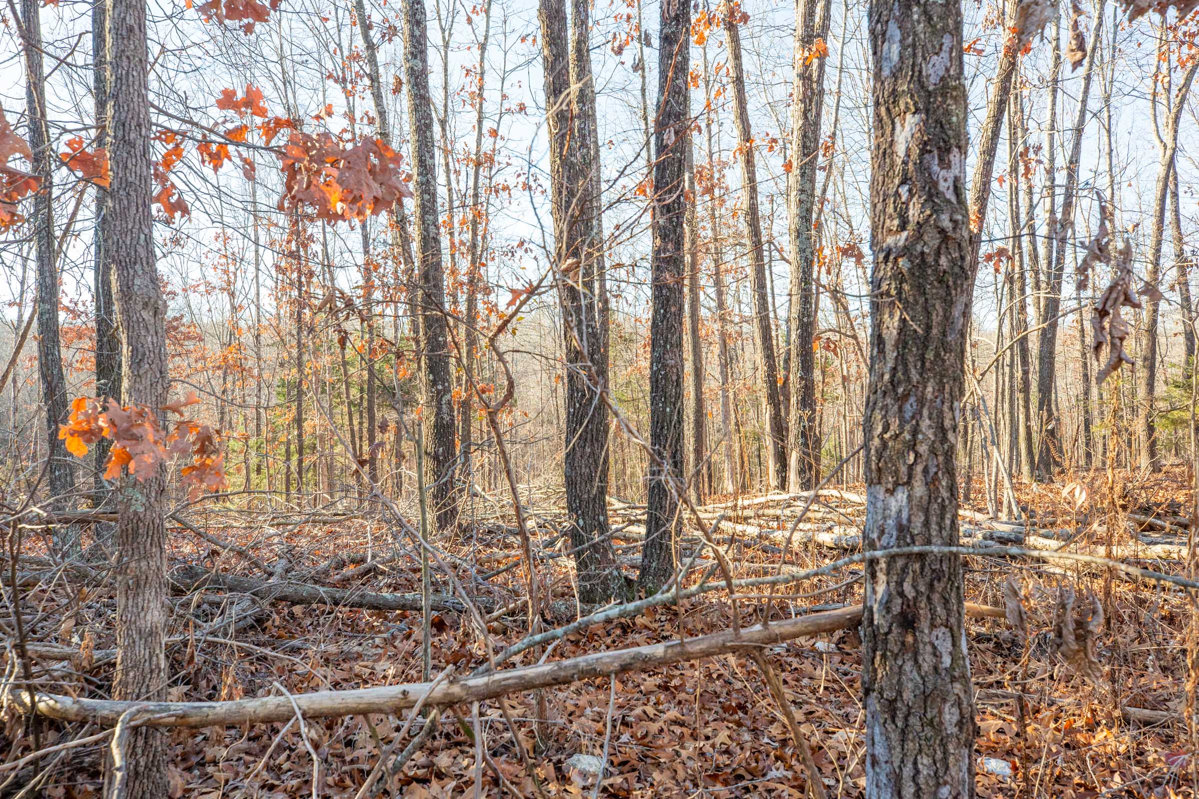 Tract 10 at Dutchmanhollow in Fulton County, Arkansas