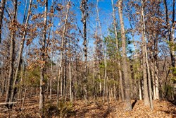 Dutchmanhollow Tract 11