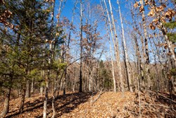 Dutchmanhollow Tract 11
