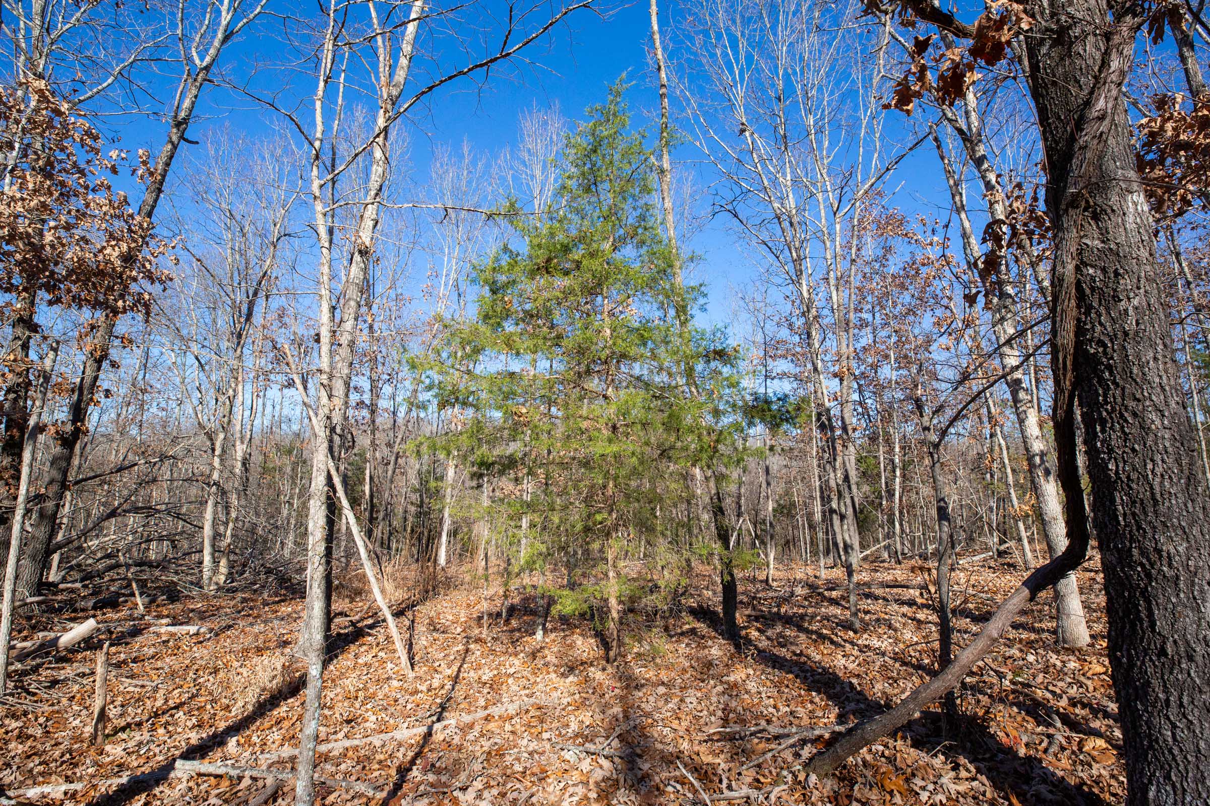 Tract 13 at Dutchmanhollow in Fulton County, Arkansas