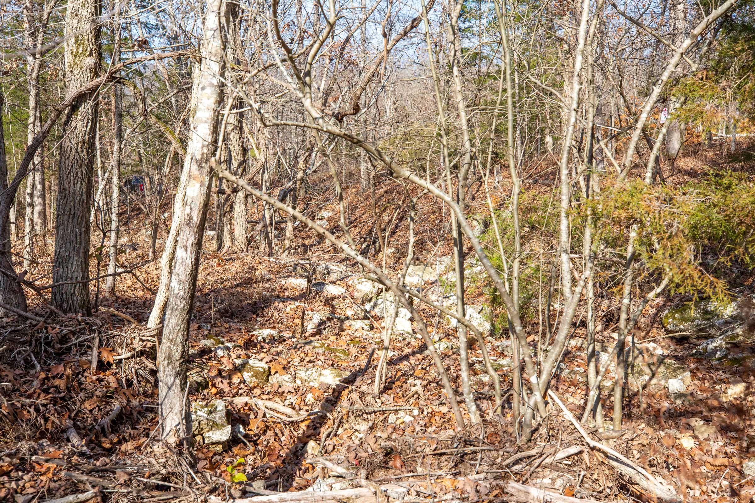 Tract 14 at Dutchmanhollow in Fulton County, Arkansas