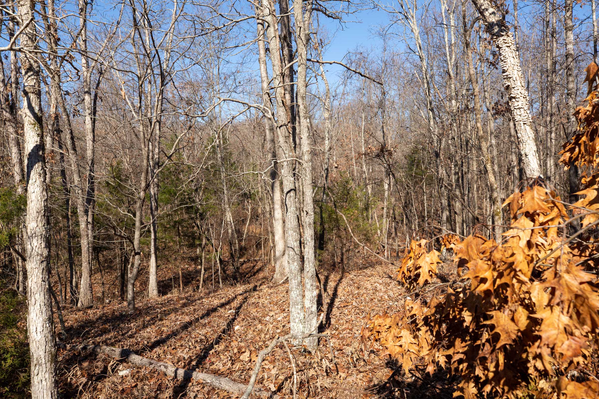 Tract 15 at Dutchmanhollow in Fulton County, Arkansas
