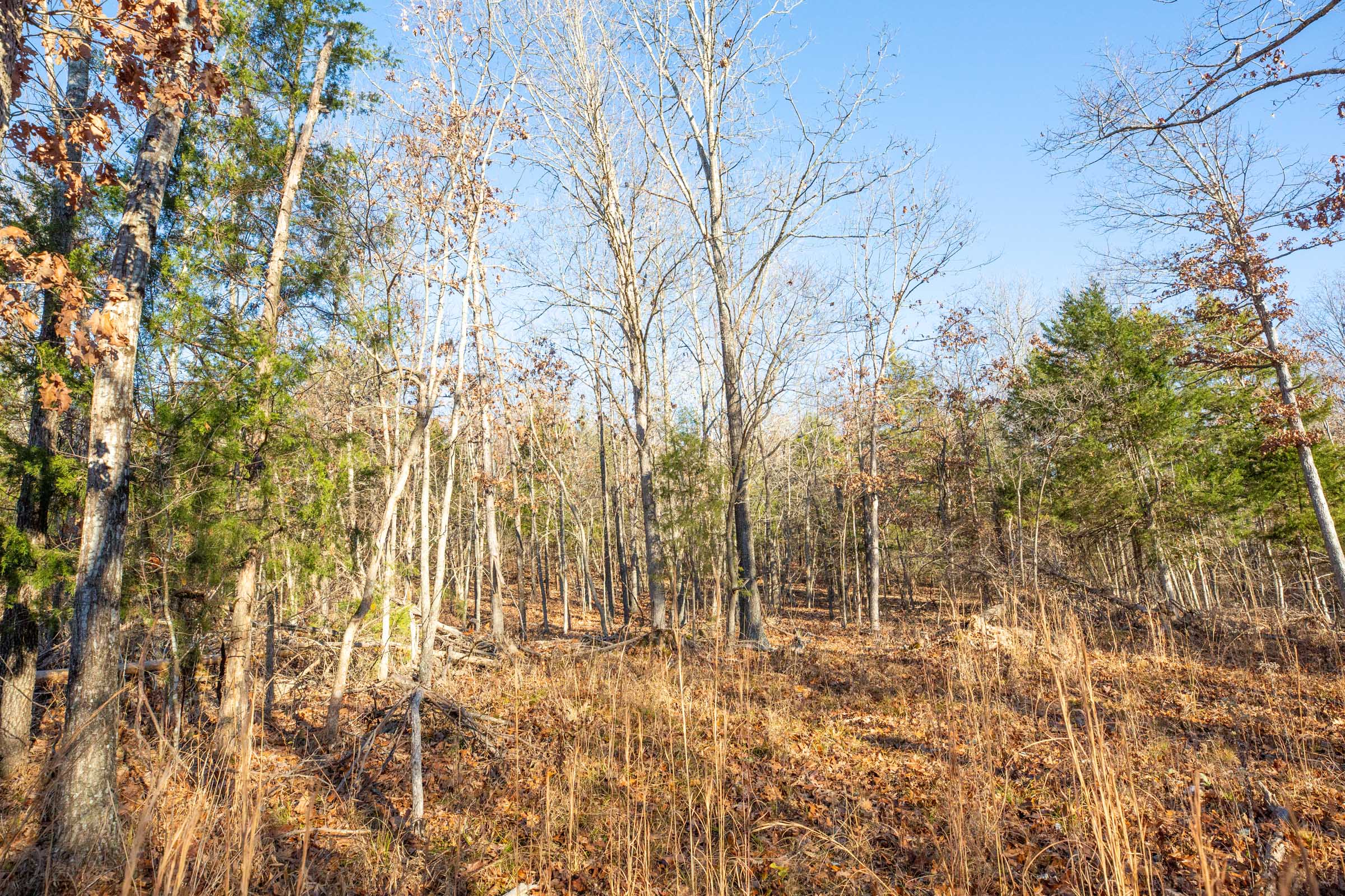Tract 16 at Dutchmanhollow in Fulton County, Arkansas