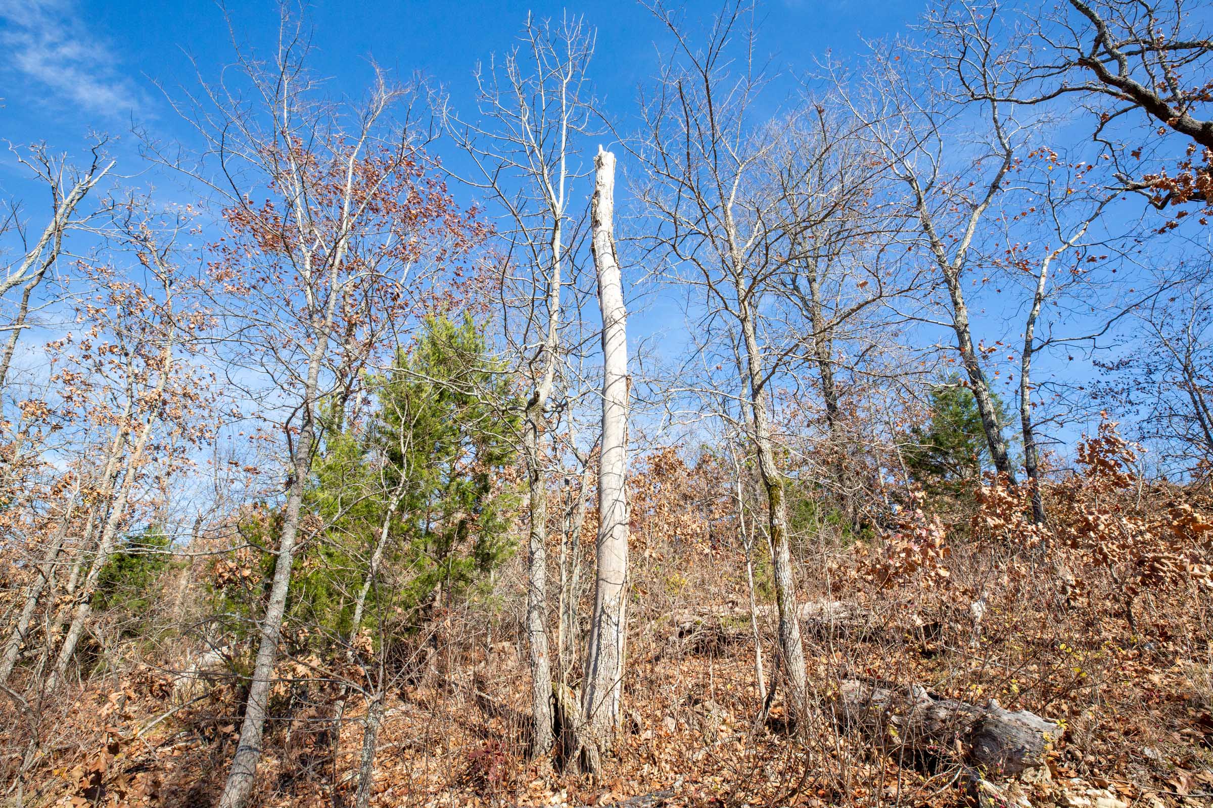 Tract 3 at Dutchmanhollow in Fulton County, Arkansas