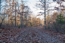 Dutchmanhollow Tract 4