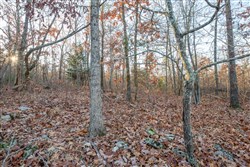 Dutchmanhollow Tract 4