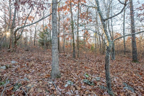 Dutchmanhollow Tract 4