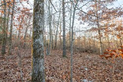 Dutchmanhollow Tract 4