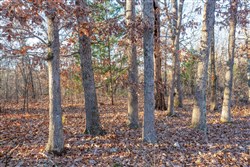 Dutchmanhollow Tract 4