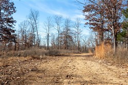 Dutchmanhollow Tract 5