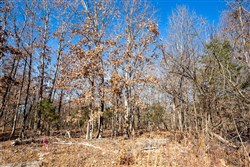 Dutchmanhollow Tract 5