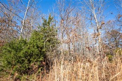 Dutchmanhollow Tract 5