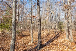 Dutchmanhollow Tract 5