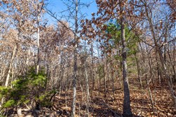 Dutchmanhollow Tract 5
