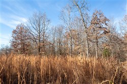 Dutchmanhollow Tract 5